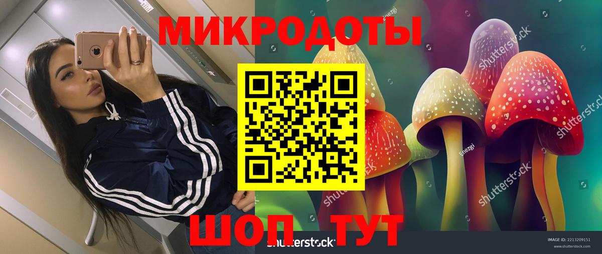 Галлюциногенные грибы GOLDEN TEACHER Сухой Лог